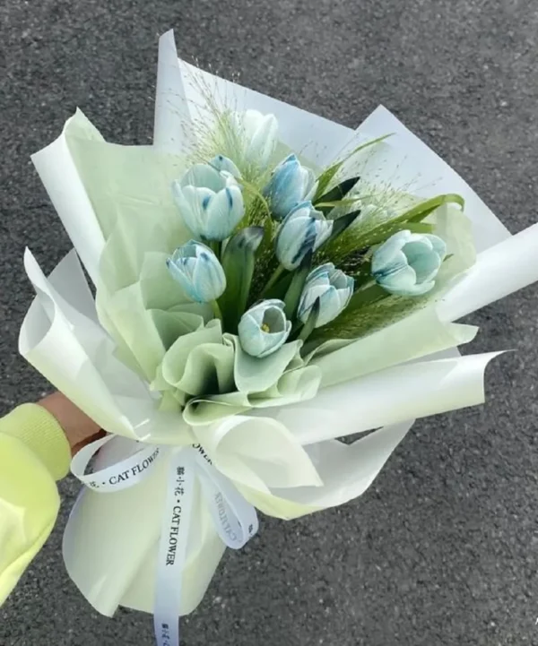 hoa-tulip-bo-mau-xanh hoa tulip bo mau xanh