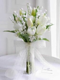 hoa tulip trắng cô dâu