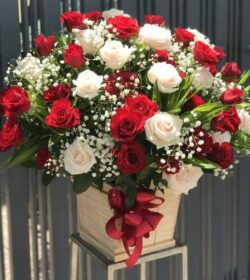 lẵng hoa hồng khai trương