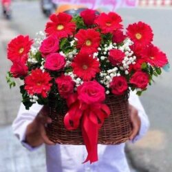 Giỏ hoa đồng tiền khai trương đẹp