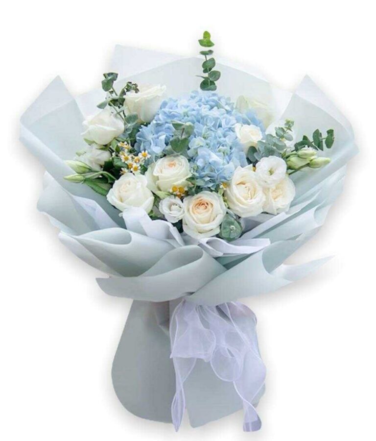 bó hoa cẩm tú cầu mix hoa hồng