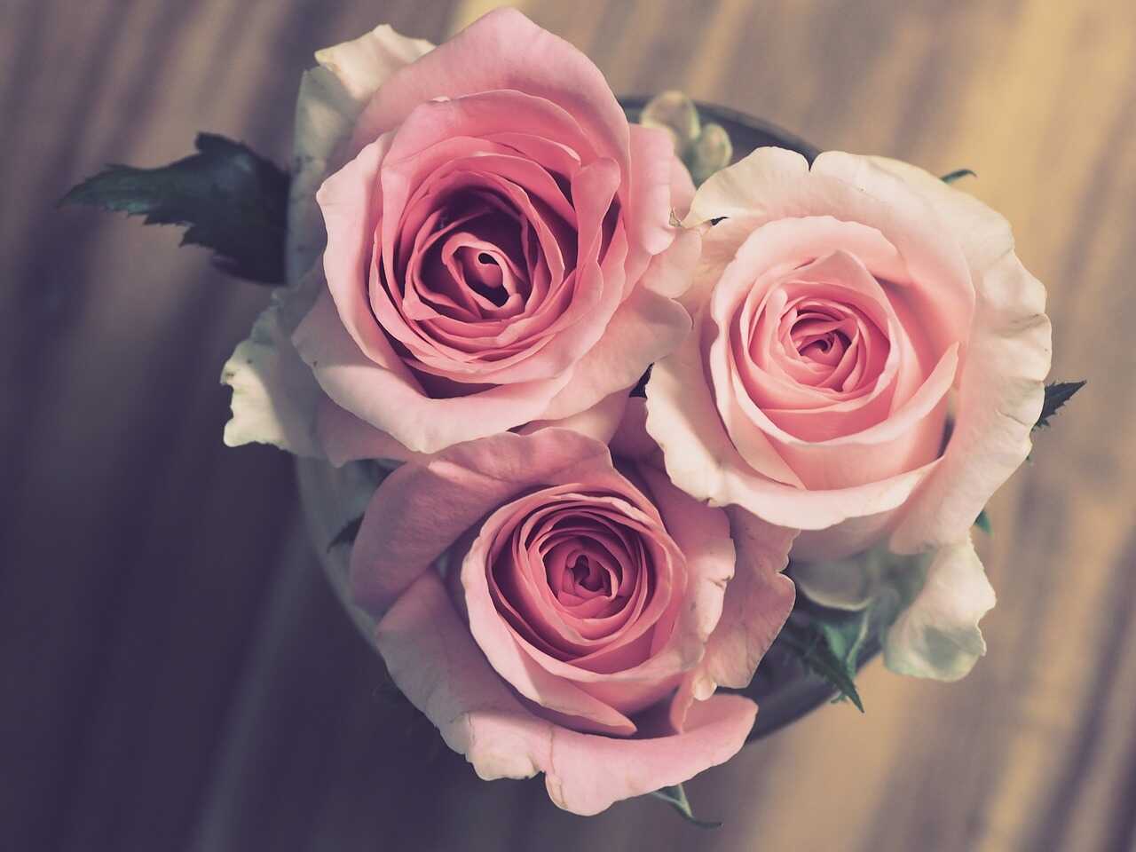 bó hoa hồng đẹp