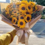 bó hoa hướng dương 20 bông Đà Lạt