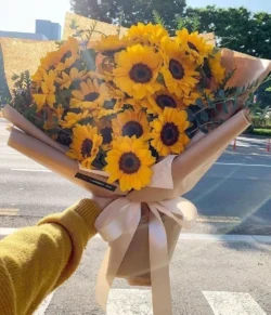 bó hoa hướng dương 20 bông
