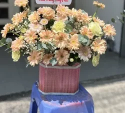 giỏ hoa đồng tiền đẹp