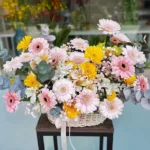 Lẵng hoa đồng tiền đẹp
