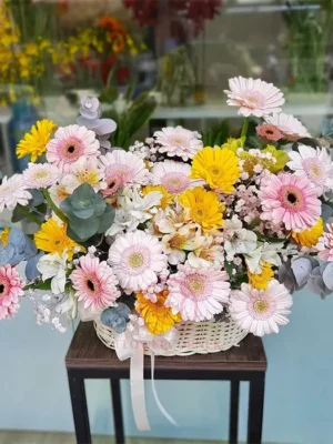 Lẵng hoa đồng tiền đẹp