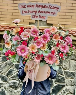 giỏ hoa đồng tiền khai trương