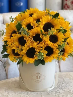 hộp hoa hướng dương