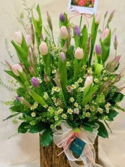 giỏ hoa tulip đẹp