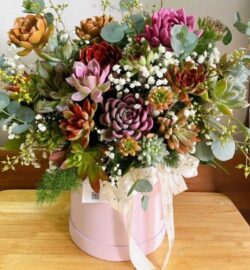 hoa khai trương sen đá