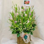 giỏ hoa tulip