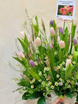 hộp hoa tulip tím
