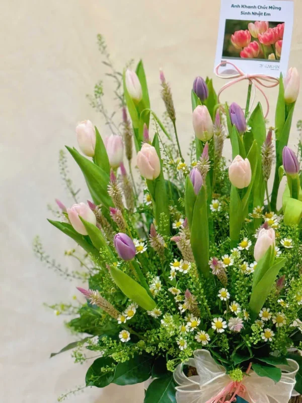 hộp hoa tulip tím