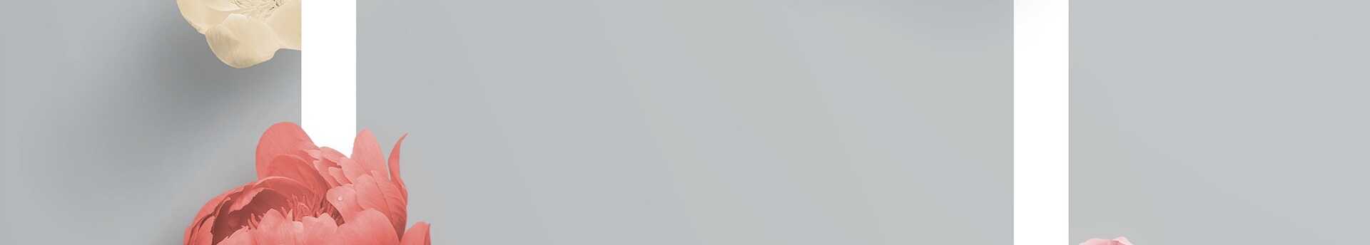 kệ hoa khai trương