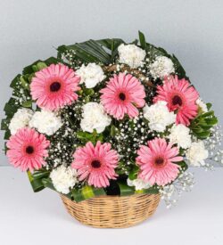 lẵng hoa đồng tiền khai trương