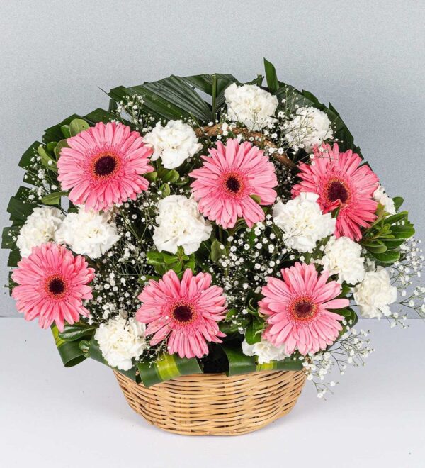 lẵng hoa đồng tiền khai trương