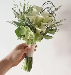 Hoa cưới loa kèn