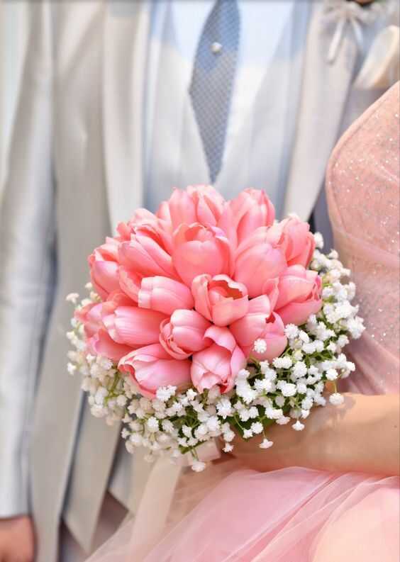 Hoa cưới tullip hồng