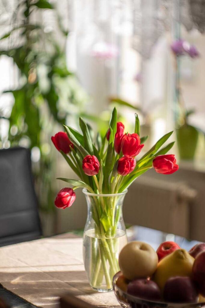 Ý nghĩa hoa tulip đỏ trong phong thủy