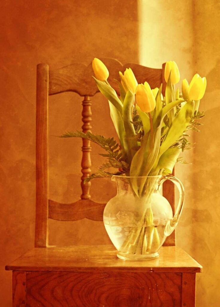 Ý nghĩa hoa tulip vàng trong phong thủy