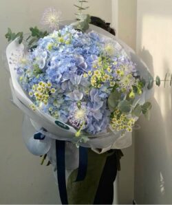 bó hoa cẩm tú cầu to