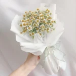 Bó hoa cúc tana nhỏ mini