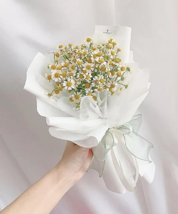 Bó hoa cúc tana nhỏ mini Bó hoa cúc tana nhỏ mini