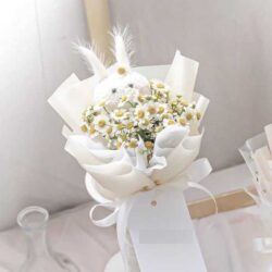 bó hoa cúc tana trắng