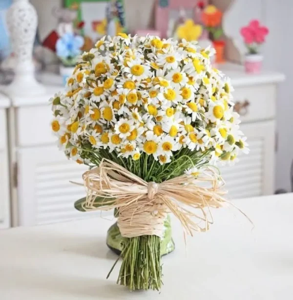 Bó hoa cưới cầm tay cúc họa mi Bó hoa cưới cầm tay cúc họa mi