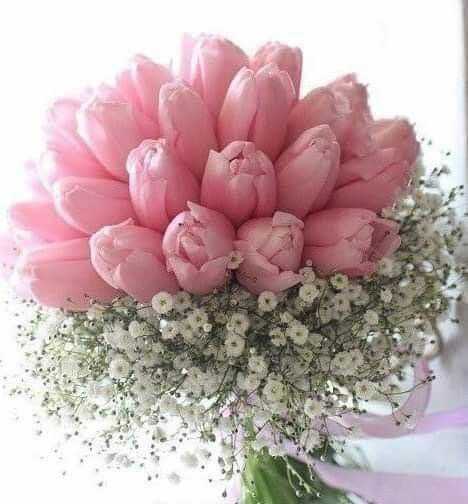 bó hoa cưới tulip hồng đẹp (1)