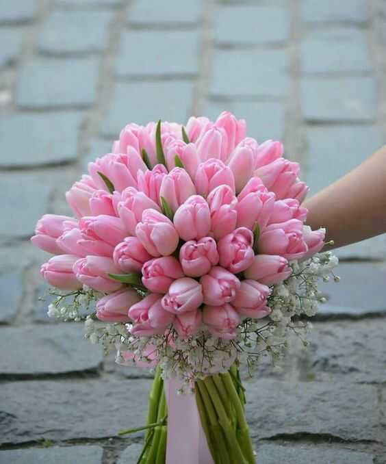 bó hoa cưới tulip hồng đẹp (1)