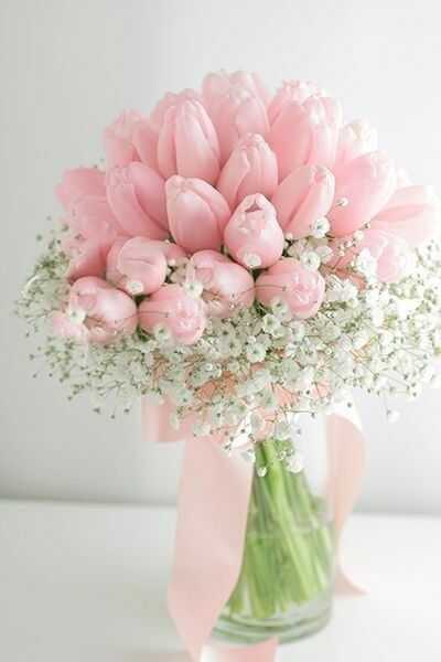 bó hoa cưới tulip hồng đẹp (1)bó hoa cưới tulip hồng đẹp (1)