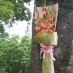 bó hoa lay ơn đẹp nhất