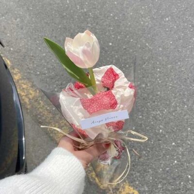 hoa tulip bó 1 bông nhỏ