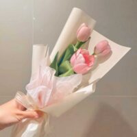 bo hoa tulip 3 bó hoa tulip mini