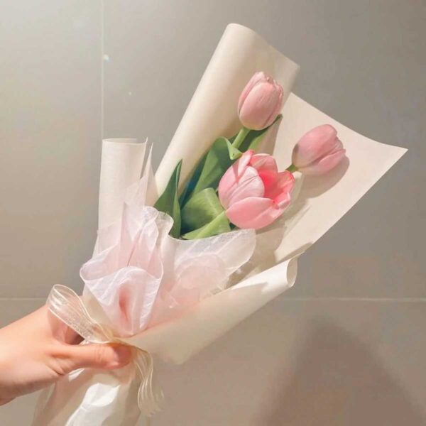 bó hoa tulip (3) bó hoa tulip mini