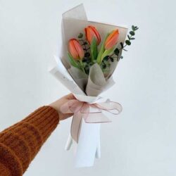 bó hoa tulip đơn giản