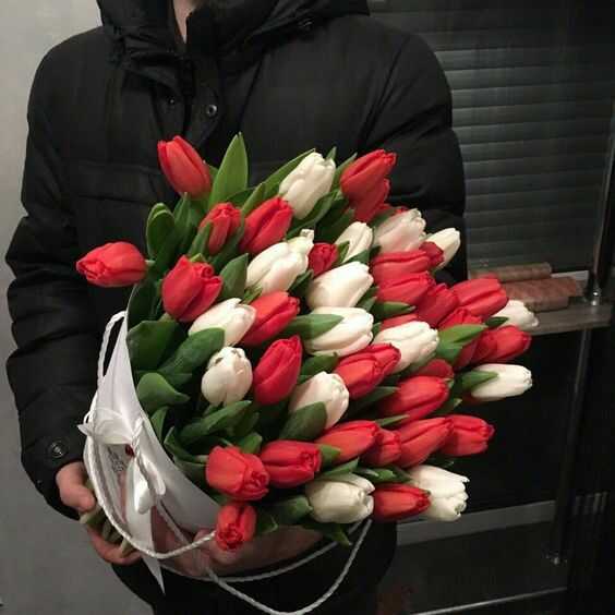 bo hoa tulip do 3