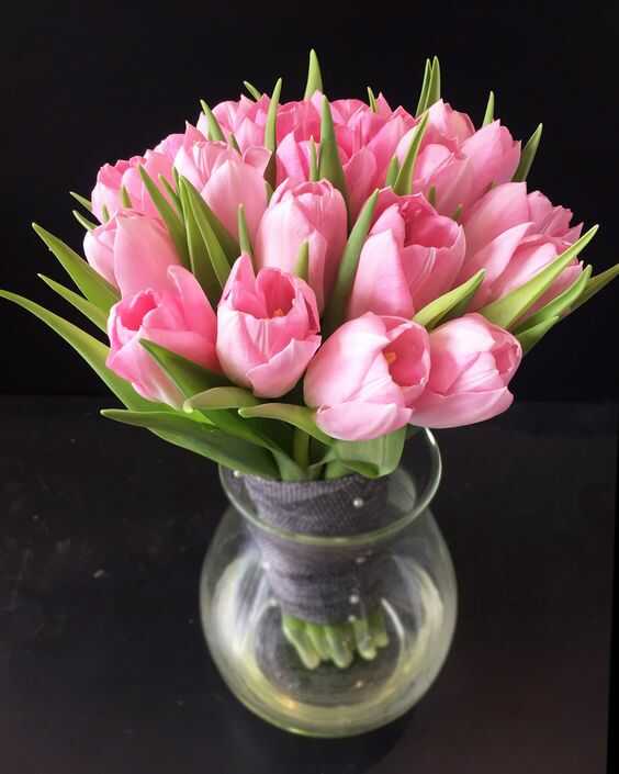 cach bao quan hoa tulip hong