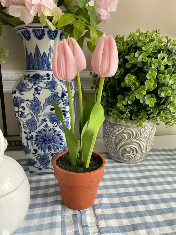 cách trồng hoa tulip hồng (2)