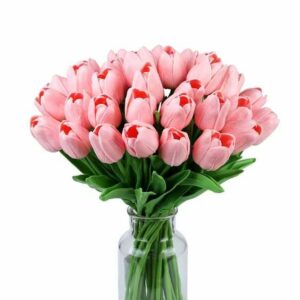hoa tulip hồng
