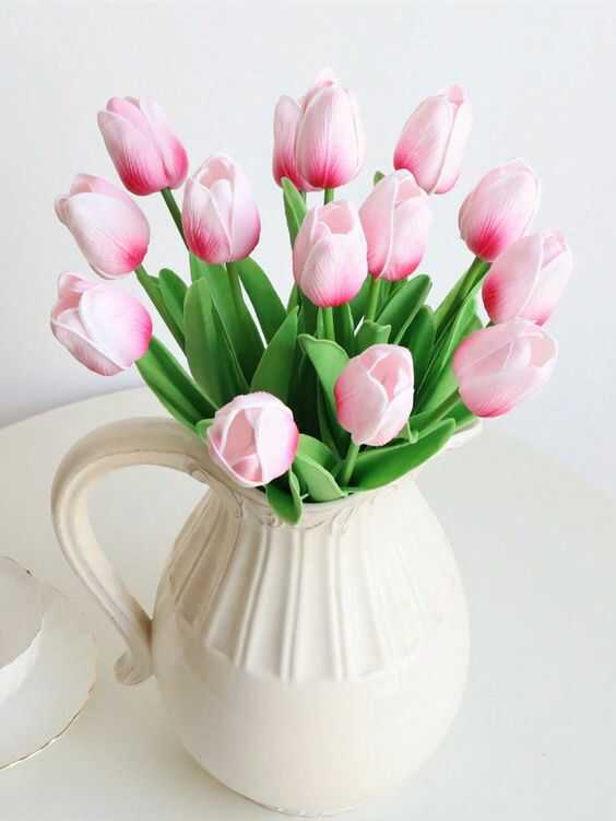 gia hoa tulip hong bao nhieu 2