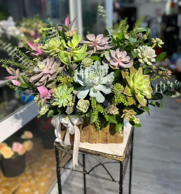 Giỏ hoa sen đá đẹp tại 7f garden tphcm Giỏ hoa sen đá đẹp tại 7f garden tphcm