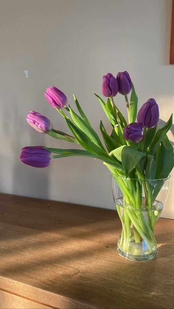 Cách bảo quản giúp giữ hoa tulip mua về tươi lâu hơn