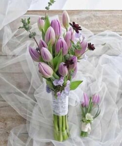 hoa cưới tulip tím