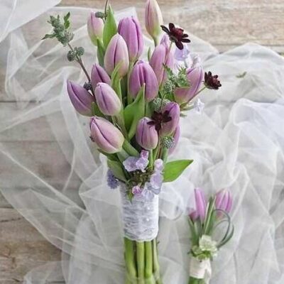 hoa cưới tulip tím