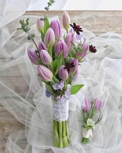 hoa cưới tulip tím