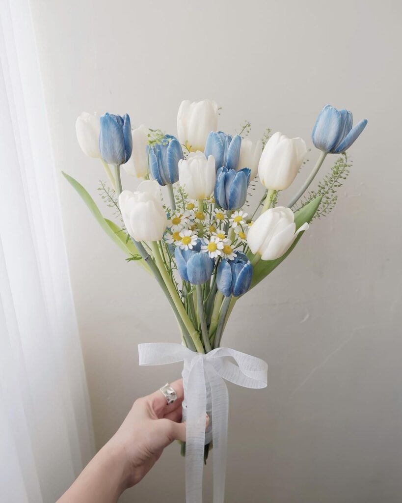 hoa cuoi tulip tim xanh 2