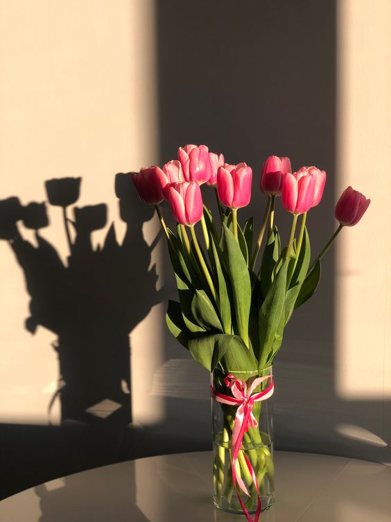 hoa tulip do vien trang 3